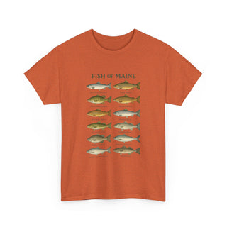 Fish of Maine Unisex Tee
