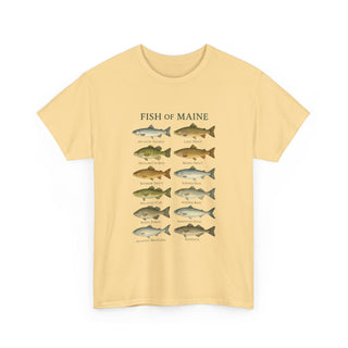 Fish of Maine Unisex Tee