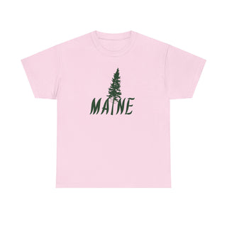 Maine Pine Tree