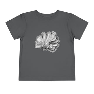 Scallop Shell- Toddler