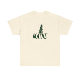 Maine Pine Tree