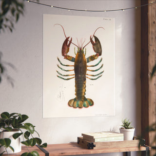 Vintage Maine Lobster Poster in 24x32 inch size hanging on a living room wall