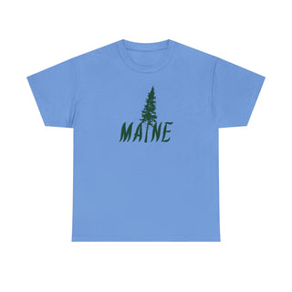 Maine Pine Tree