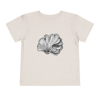 Scallop Shell- Toddler