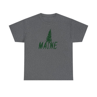 Maine Pine Tree