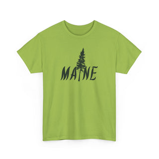 Maine Pine Tree