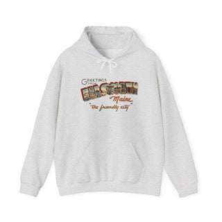 Ellsworth Postcard Hoodie