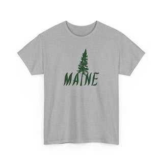 Maine Pine Tree
