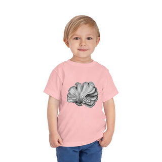 Scallop Shell- Toddler