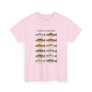 Fish of Maine Unisex Tee