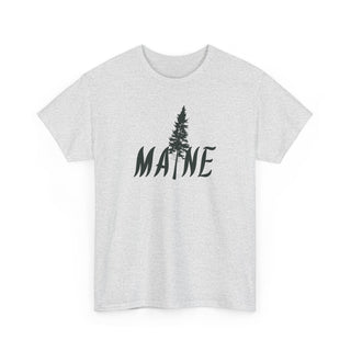 Maine Pine Tree