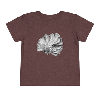 Scallop Shell- Toddler