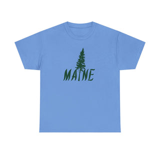 Maine Pine Tree