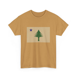 Vintage Maine Flag