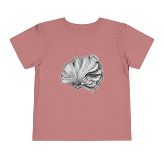Scallop Shell- Toddler