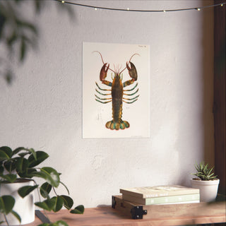 Vintage Maine Lobster Poster in 12x16 inch size hanging on a living room wall