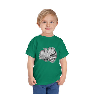 Scallop Shell- Toddler