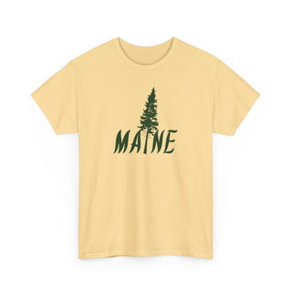 Maine Pine Tree