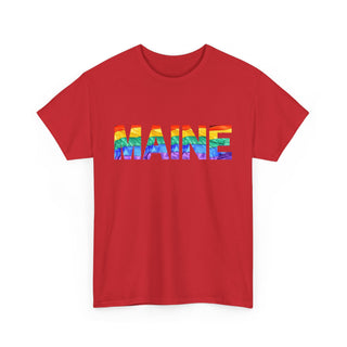 Maine Letters Pride Flag