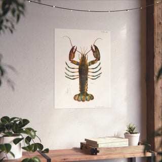 Vintage Maine Lobster Poster hanging on a living room wall