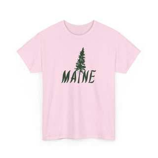 Maine Pine Tree