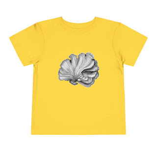 Scallop Shell- Toddler