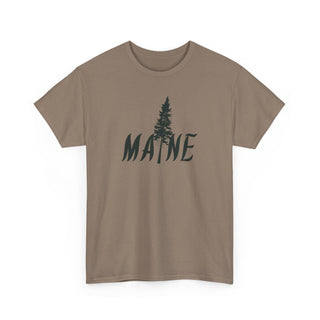 Maine Pine Tree